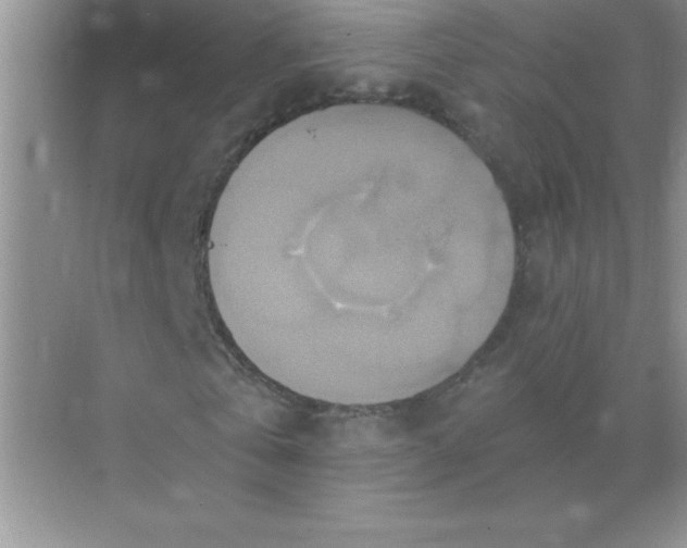 X0000071910769200607212041