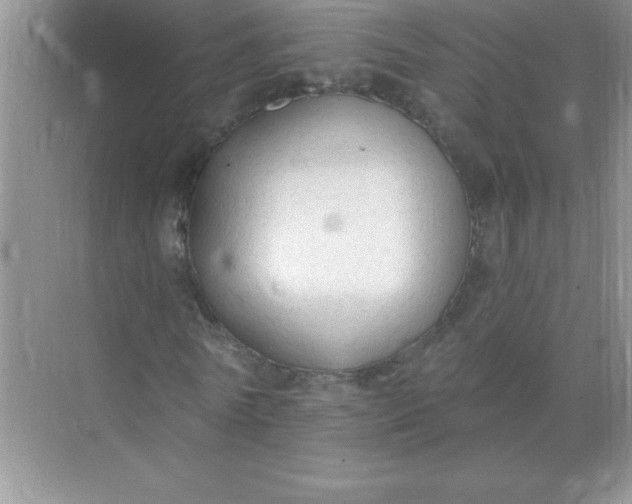 X0000071910770200607212041