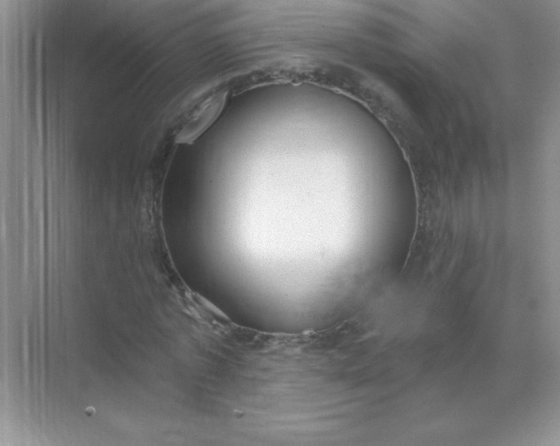 X0000071910773200607212041