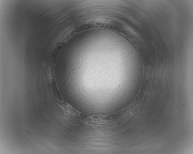 X0000071910774200607212041