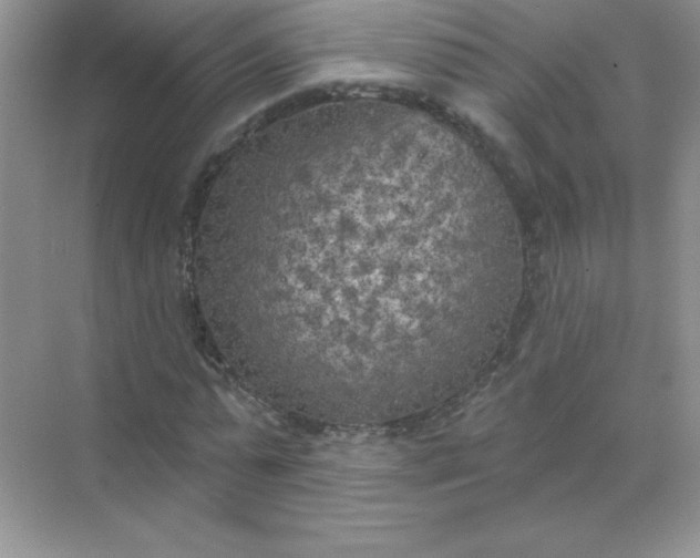 X0000071910775200607212041