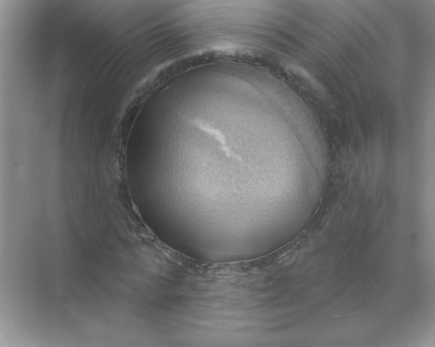 X0000071910776200607212041