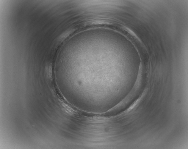 X0000071910777200607212041