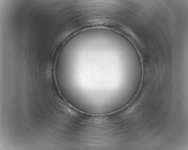 X0000071910778200607212041