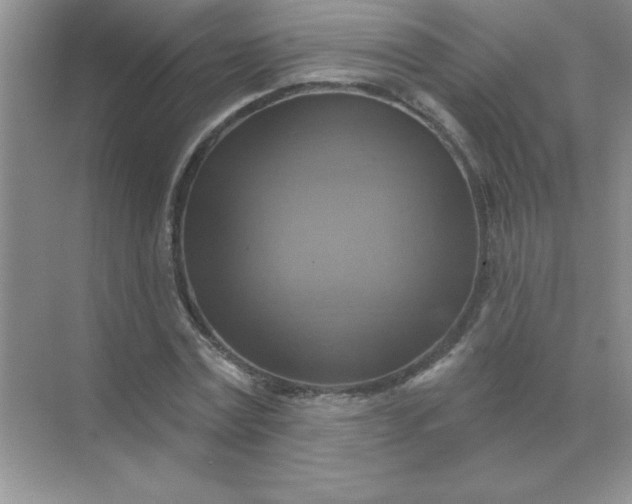 X0000071910779200607212041