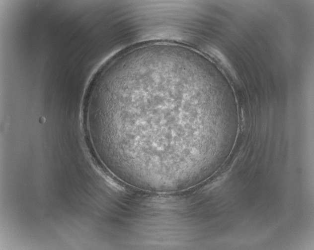 X0000071910780200607212041