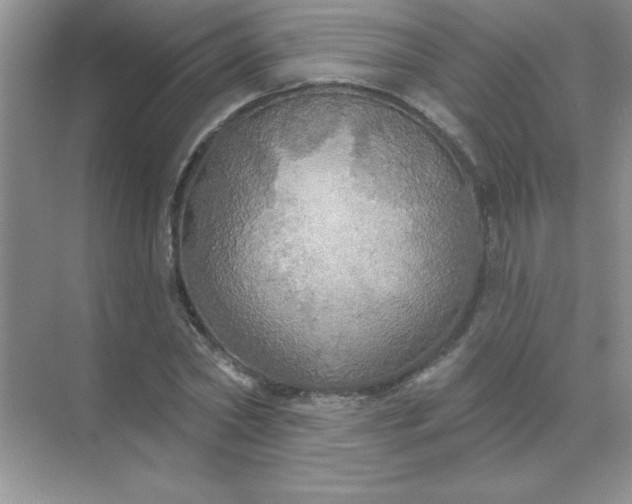 X0000071910782200607212041