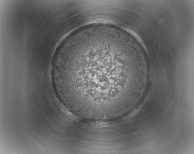 X0000071910783200607212041