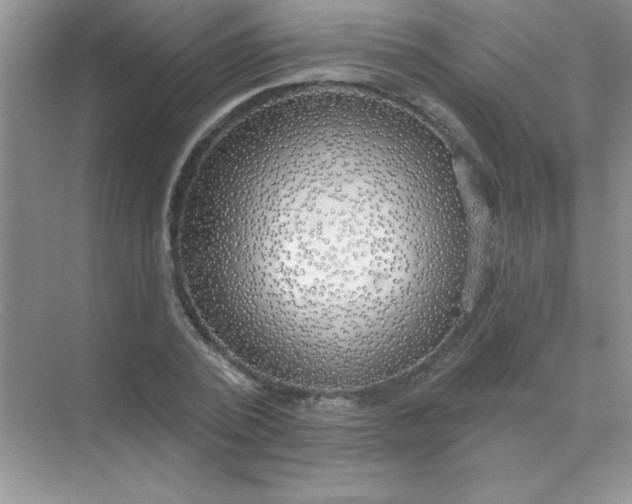 X0000071910784200607212041