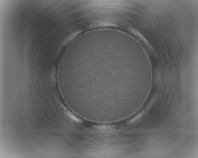 X0000071910785200607212041