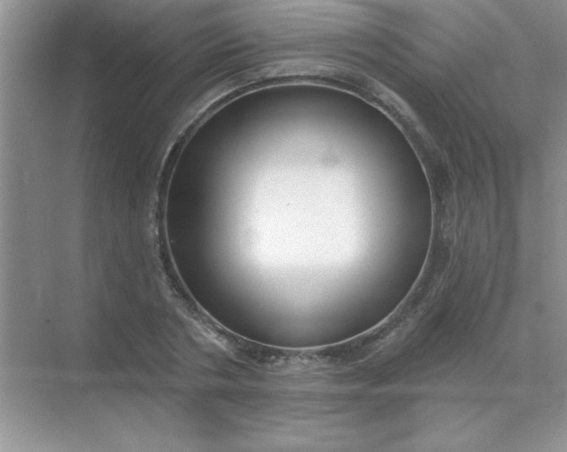 X0000071910786200607212041