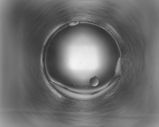 X0000071910788200607212041