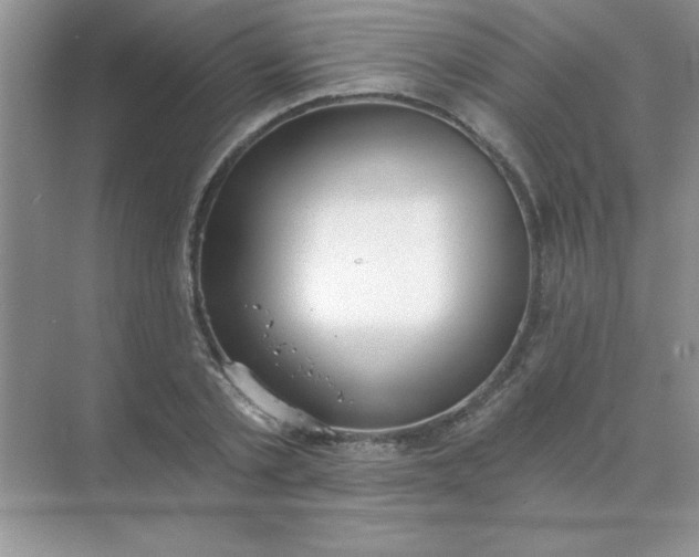 X0000071910789200607212041