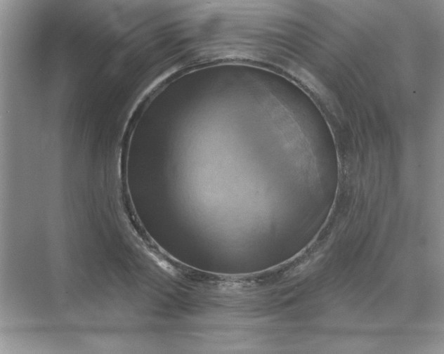 X0000071910790200607212041