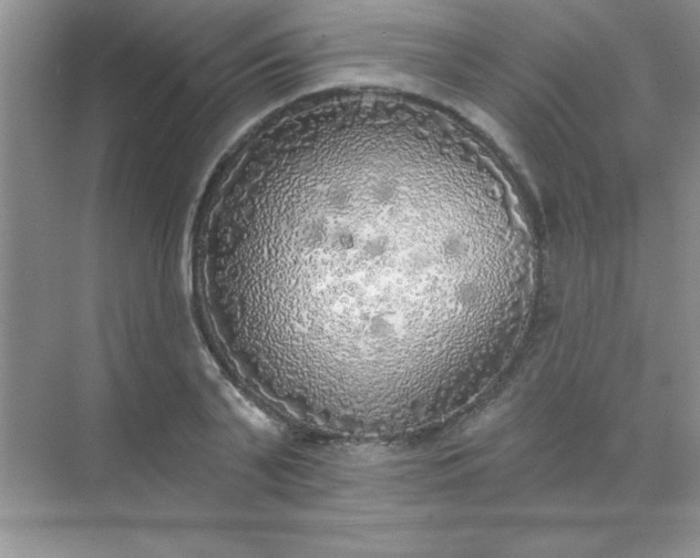 X0000071910791200607212041