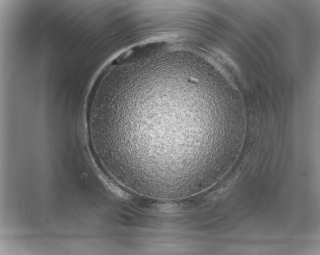 X0000071910792200607212041