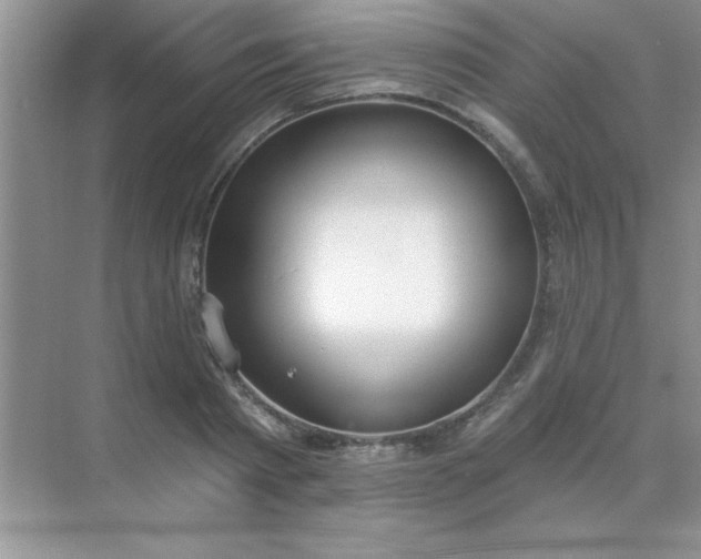 X0000071910793200607212041