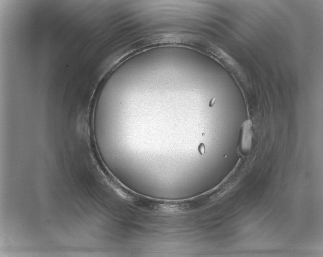 X0000071910794200607212041