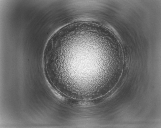 X0000071910795200607212041