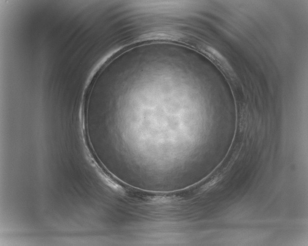 X0000071910796200607212041