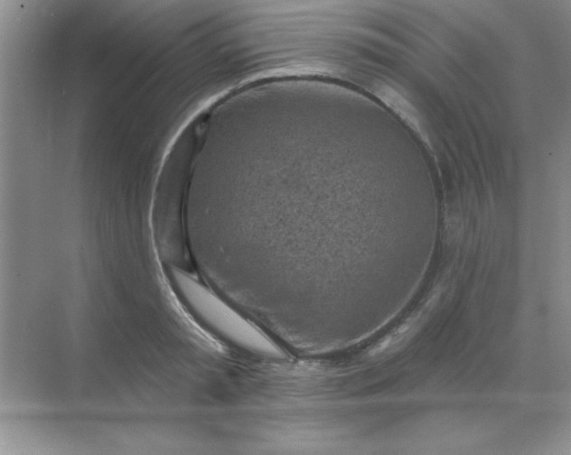 X0000071910797200607212041