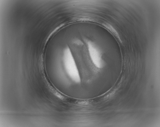 X0000071910798200607212041