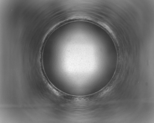 X0000071910799200607212041