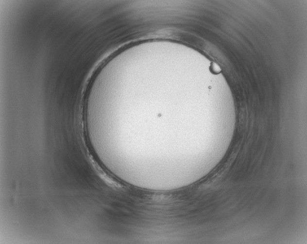 X0000071910800200607212041