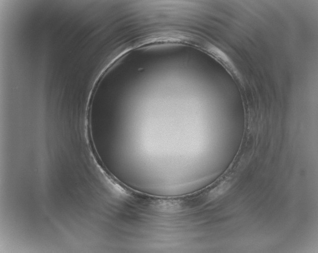 X0000071910802200607212041