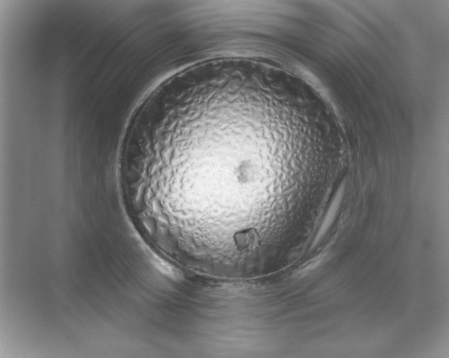 X0000071910803200607212041