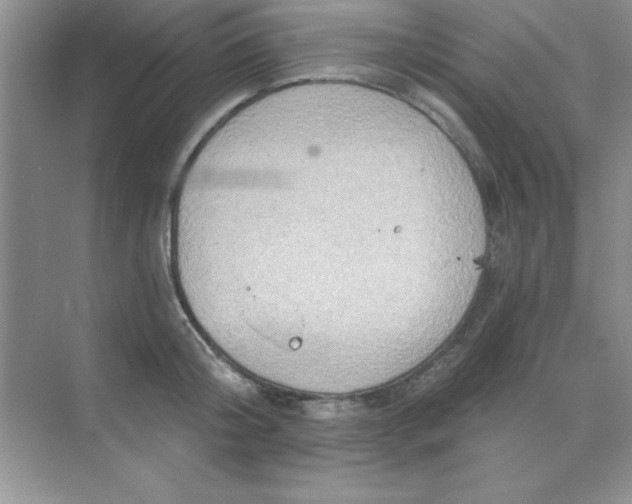 X0000071910804200607212041