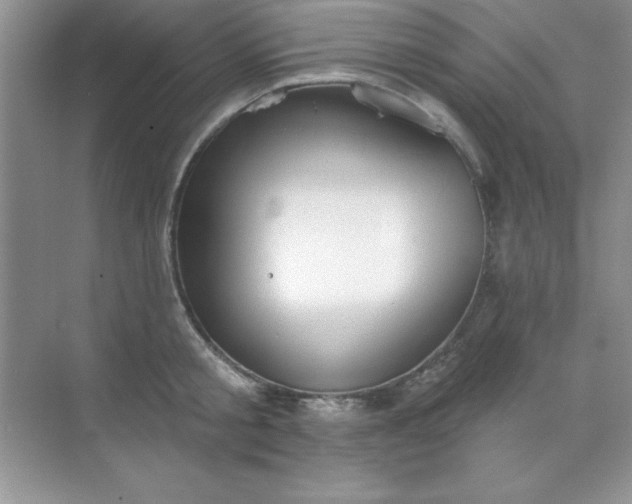 X0000071910805200607212041