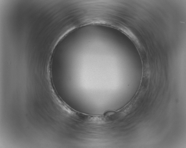 X0000071910806200607212041