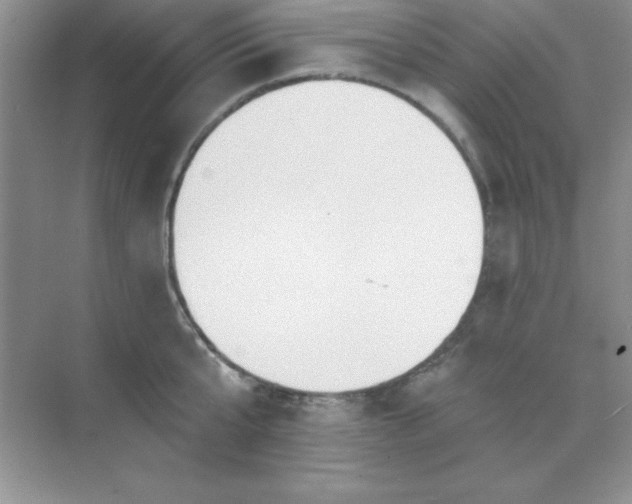 X0000071910807200607212041