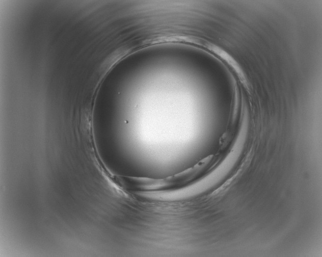 X0000071910809200607212041