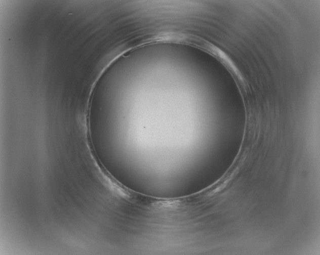 X0000071910810200607212041