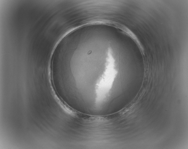 X0000071910811200607212041