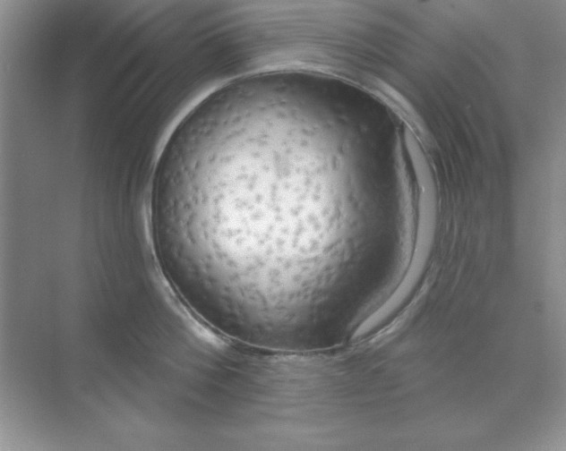 X0000071910812200607212041