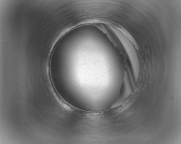 X0000071910813200607212041