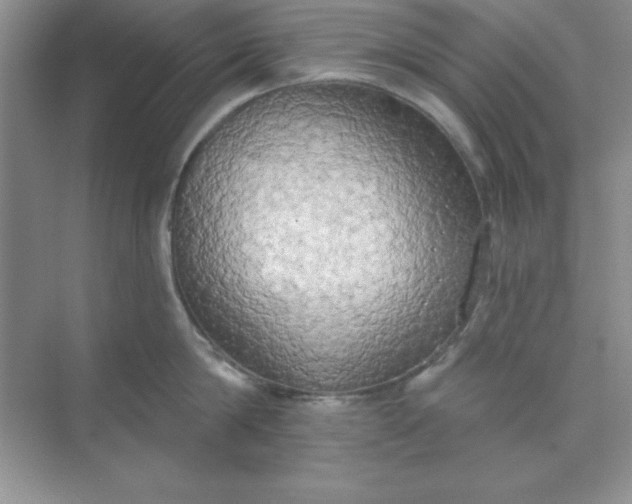 X0000071910814200607212041