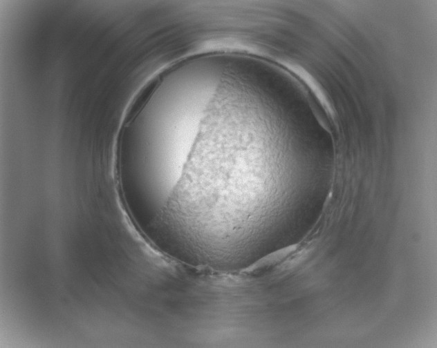 X0000071910815200607212040