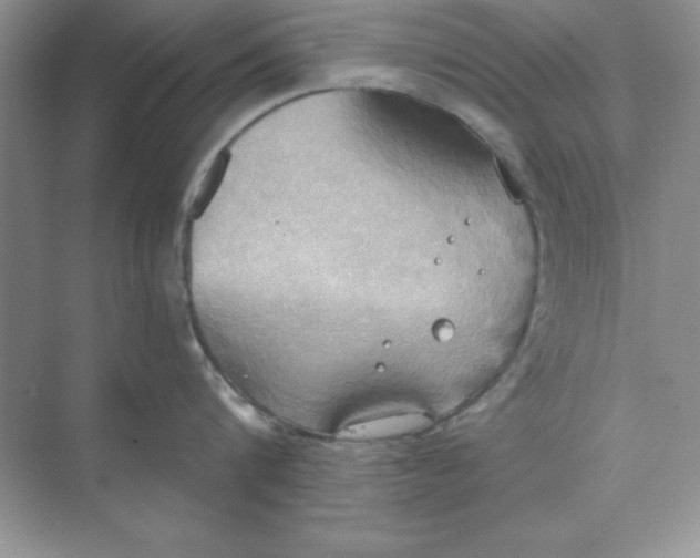 X0000071910816200607212040