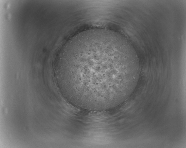 X0000071910817200607212040