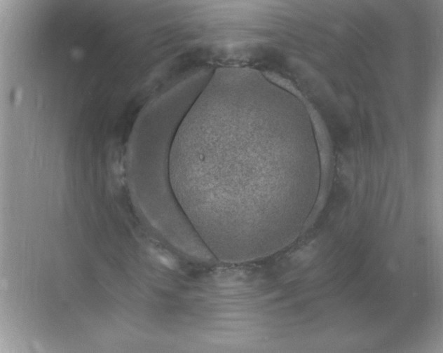 X0000071910818200607212040