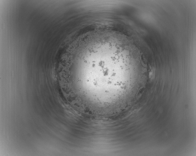 X0000071910819200607212040