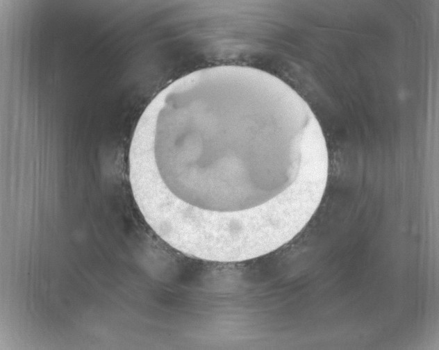 X0000071910820200607212040