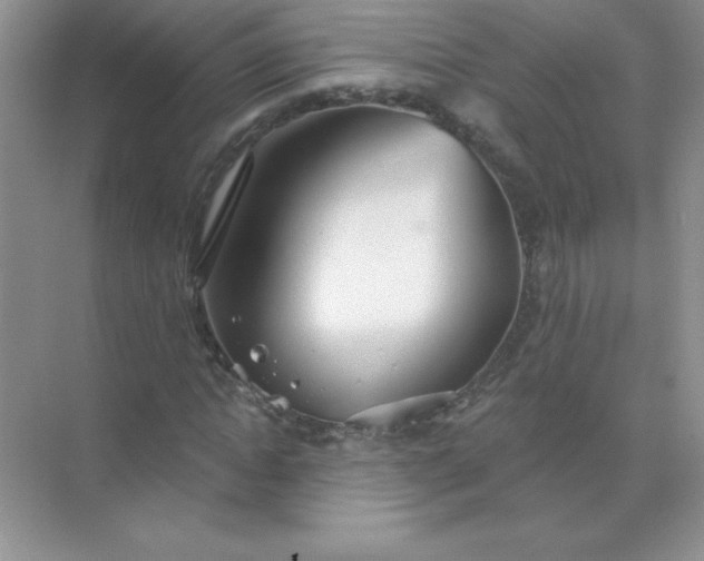 X0000071910822200607212040