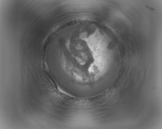 X0000071910823200607212040