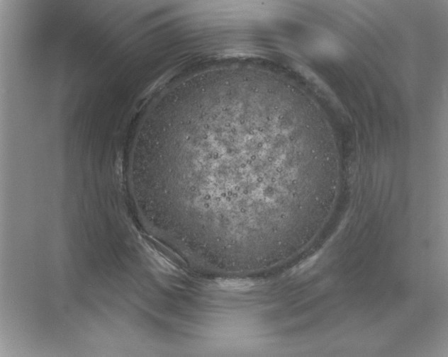 X0000071910825200607212040