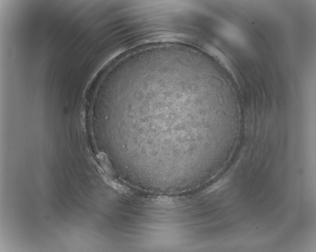 X0000071910827200607212040